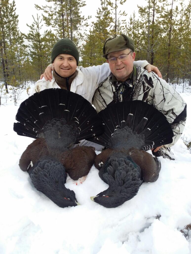 Auerhahn, winter, schweden, jagen, nordic footprints auerhahnjagd, Birkwild,Waldvogeljagd,Jagd,Jagdreisen,Angelreisen,Angeln,Fliegenfischen, Zinnfischangeln,Forelle,Saibling,Veranstalter,Pirschführer,Angelguide,Auerhahn,Birkhahn,Schneehuhn,Hahnenjagd,Rauhfusshühner,Äsche,Schweden,fischen Äsche,Angeln Schweden,jagen Schweden, Trophäenjagd für Birkhahn und Auerhahn