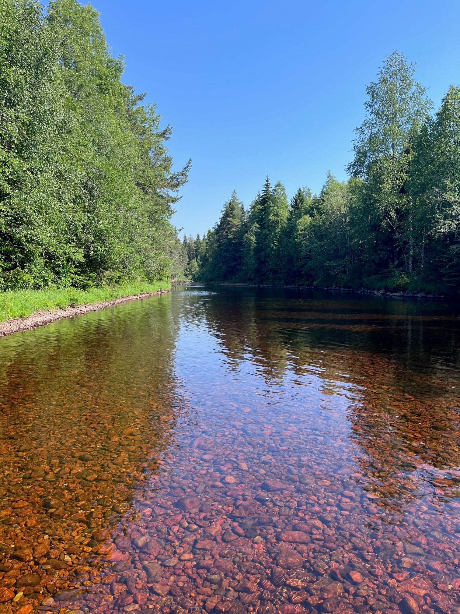 flugfiskekurs, orsa, fiske, harr, öring, fiska, fluga, kurs