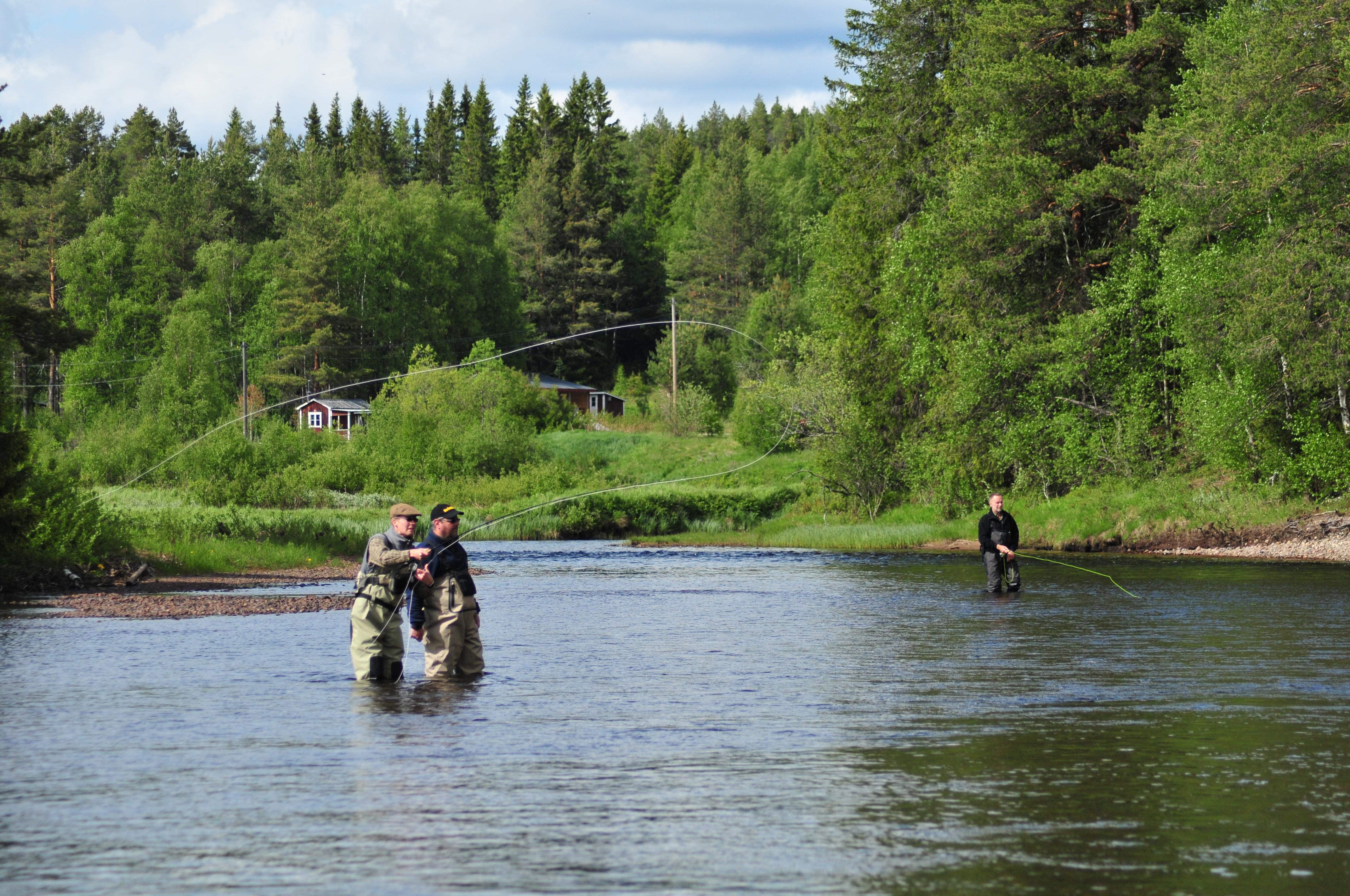 flugfiskekurs, orsa, fiske, harr, öring, fiska, fluga, kurs