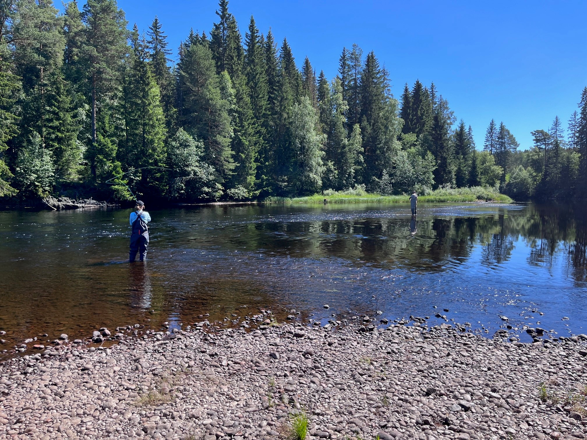 guide, angeln, fischen, äsche, forelle, hecht, barsch, schweden, dalarna, nordic footprints